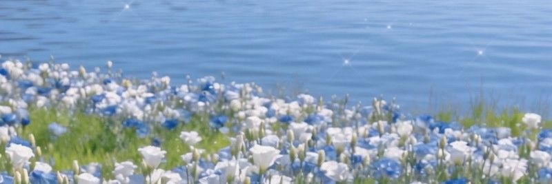 Aivexx! 🐇 banner