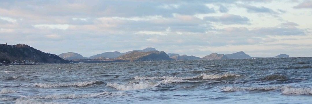 farinks banner