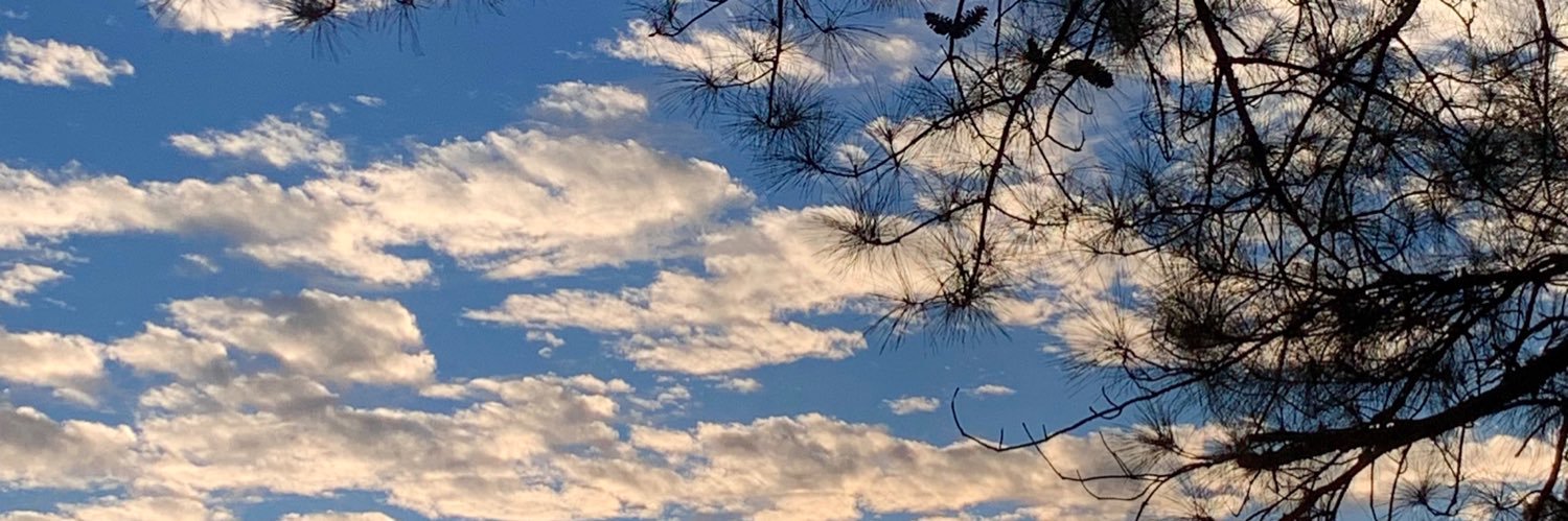 Curtis Hebert banner