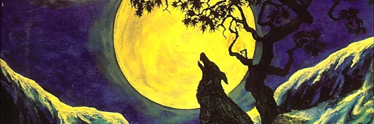VladScrisu's profile banner image
