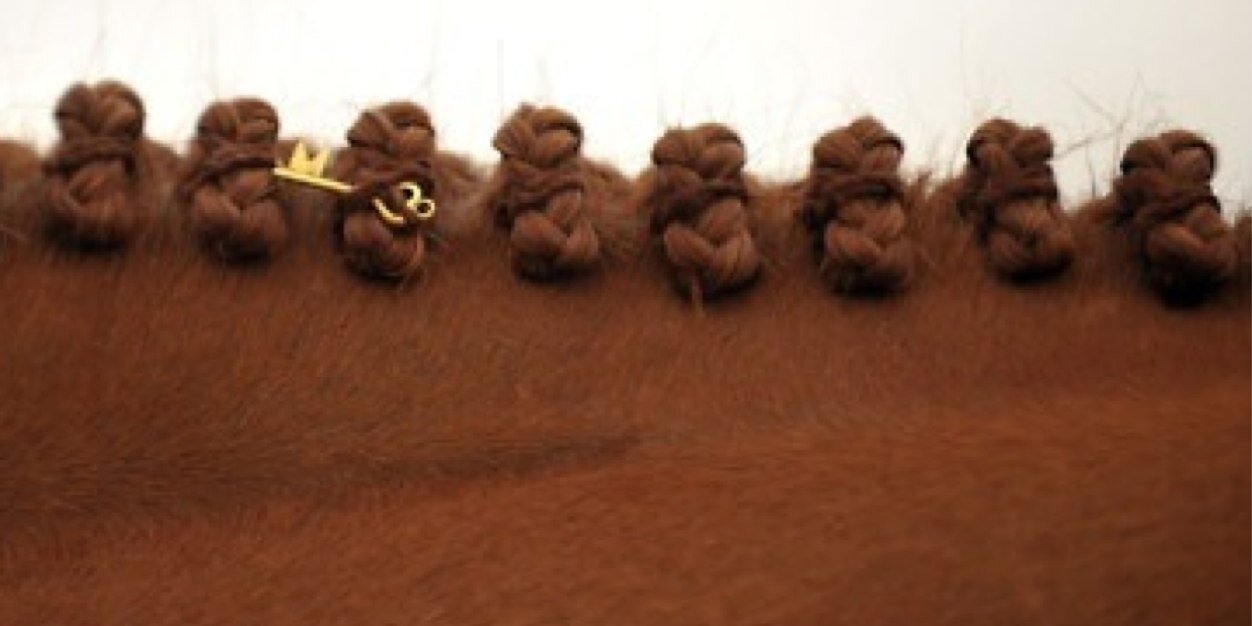 GroomSecrets's profile banner image
