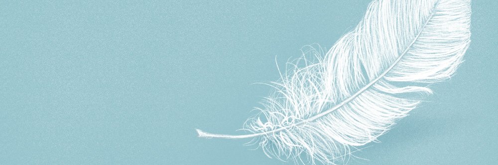 DavidAltinak's profile banner image
