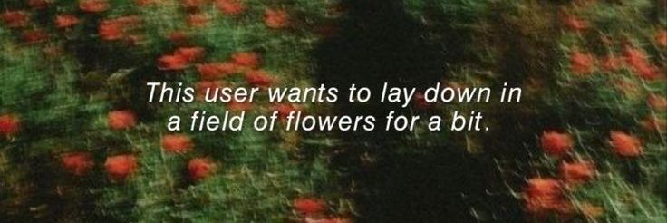 𝘍𝘪𝘧𝘵𝘺𝘴𝘦𝘷𝘦𝘯. banner