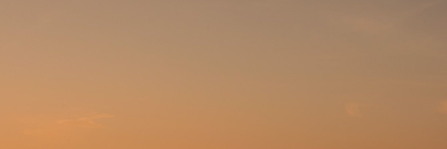 probablyyelling's profile banner image