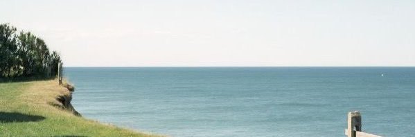 shea ☆ banner
