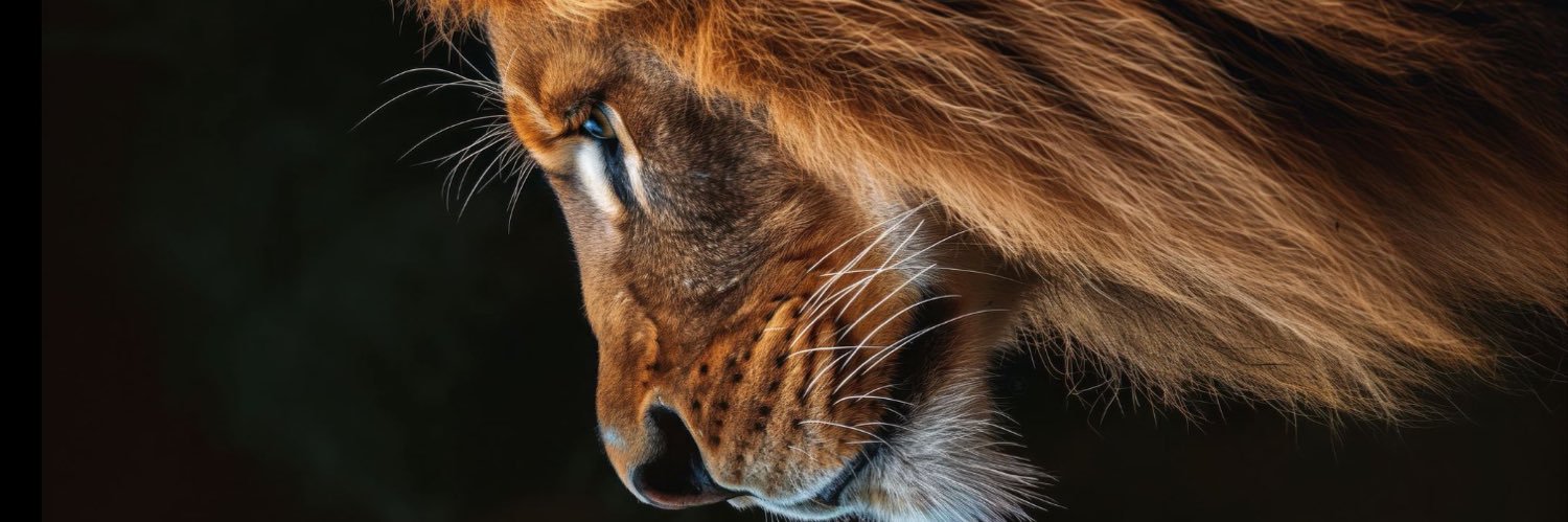 EstefanyCorrea's profile banner image