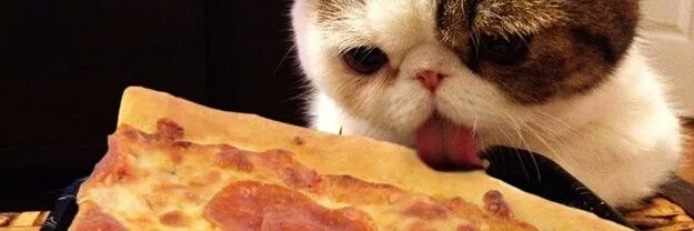 pitzagurl's profile banner image