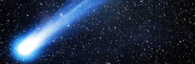 敗者な歯医者 banner