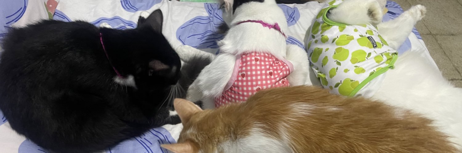 Marvelia Cantika banner