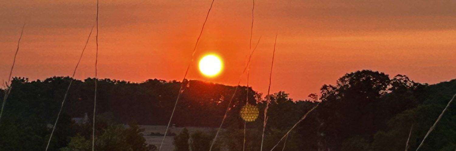 Dylan Wynkoop banner