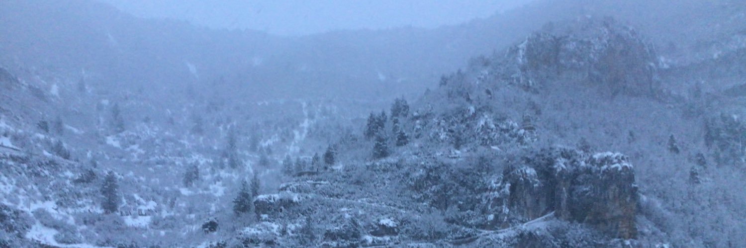 Colonel Marlowe banner