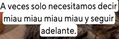 ★Ruby 👾♪ banner