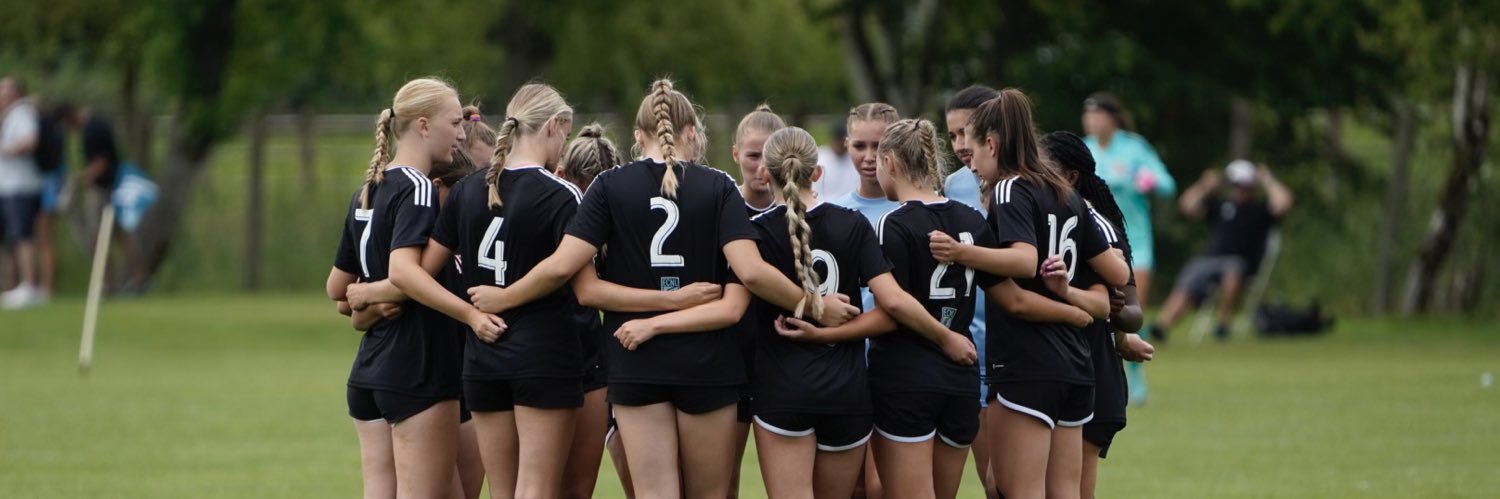 Michigan Hawks Magic 07 ECNL banner