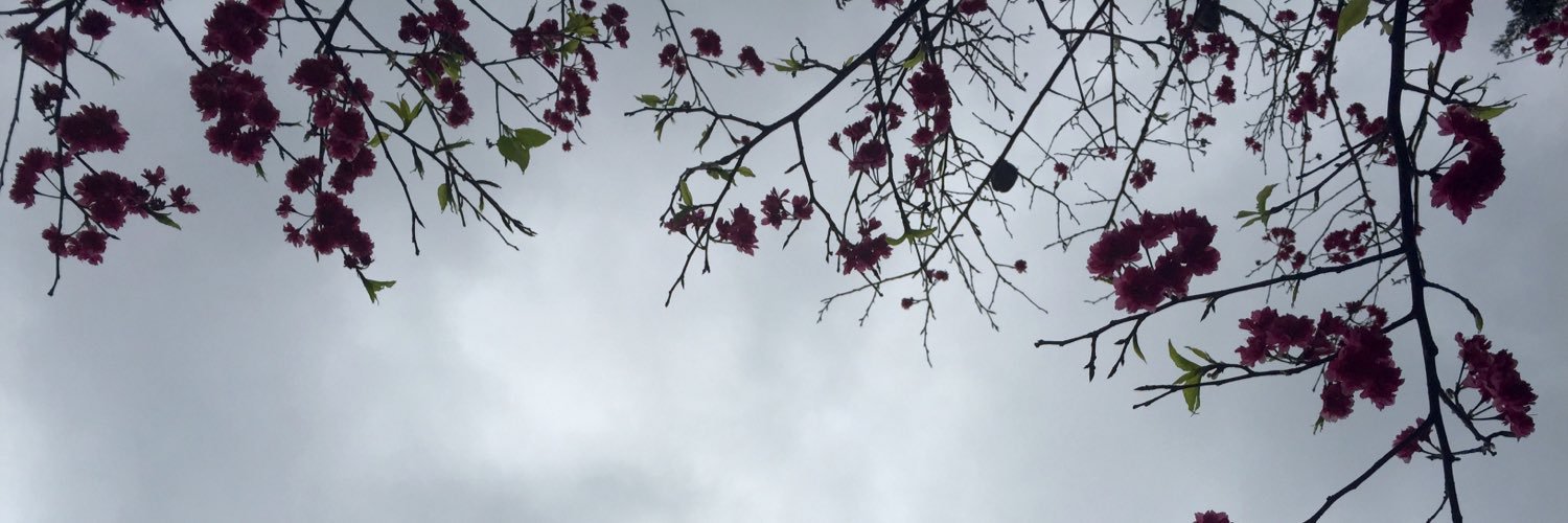 donnajans's profile banner image