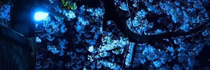 Azi banner
