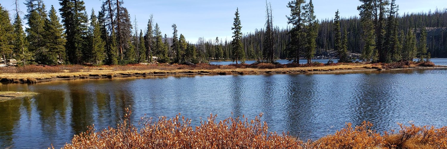 Scott Nicholson banner