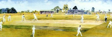 Elsternwick Cricket Club banner