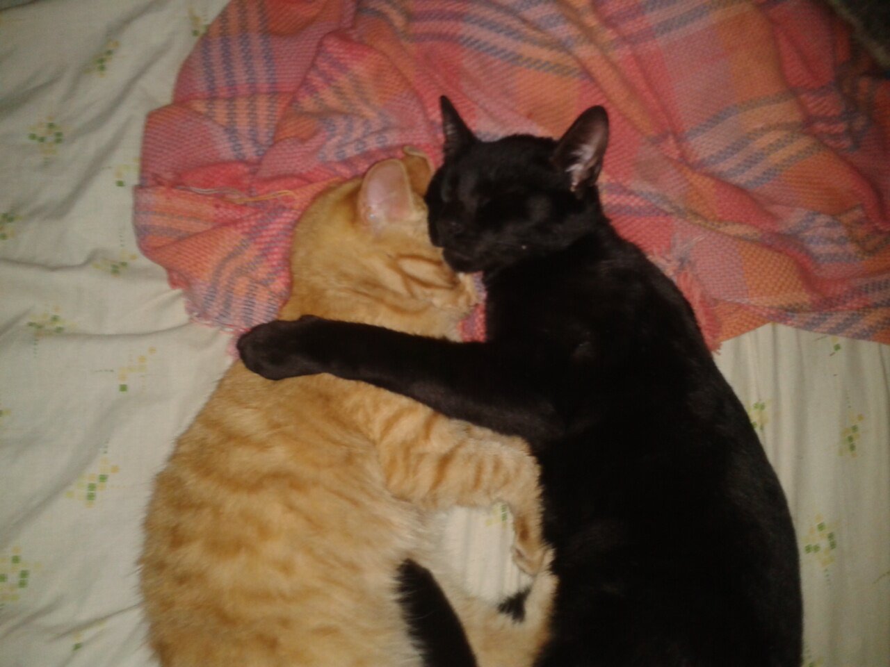 abrazo banner