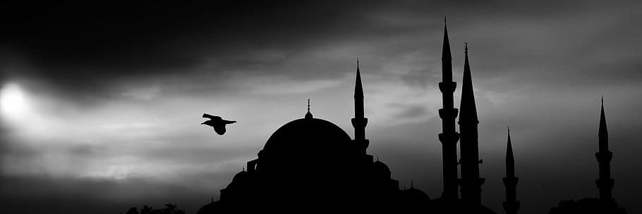 Nasar_Ali3's profile banner image