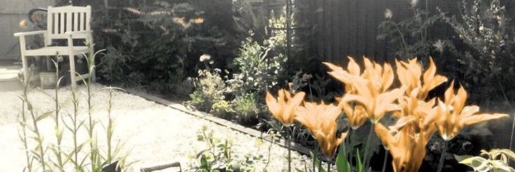orlin banner