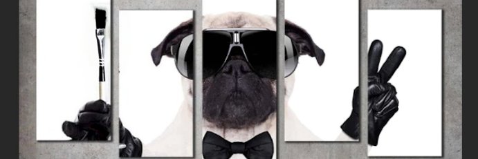 GallopingPug's profile banner image