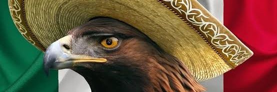PowerPam33's profile banner image