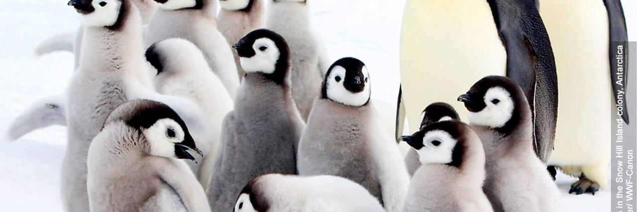 dennis_linux's profile banner image