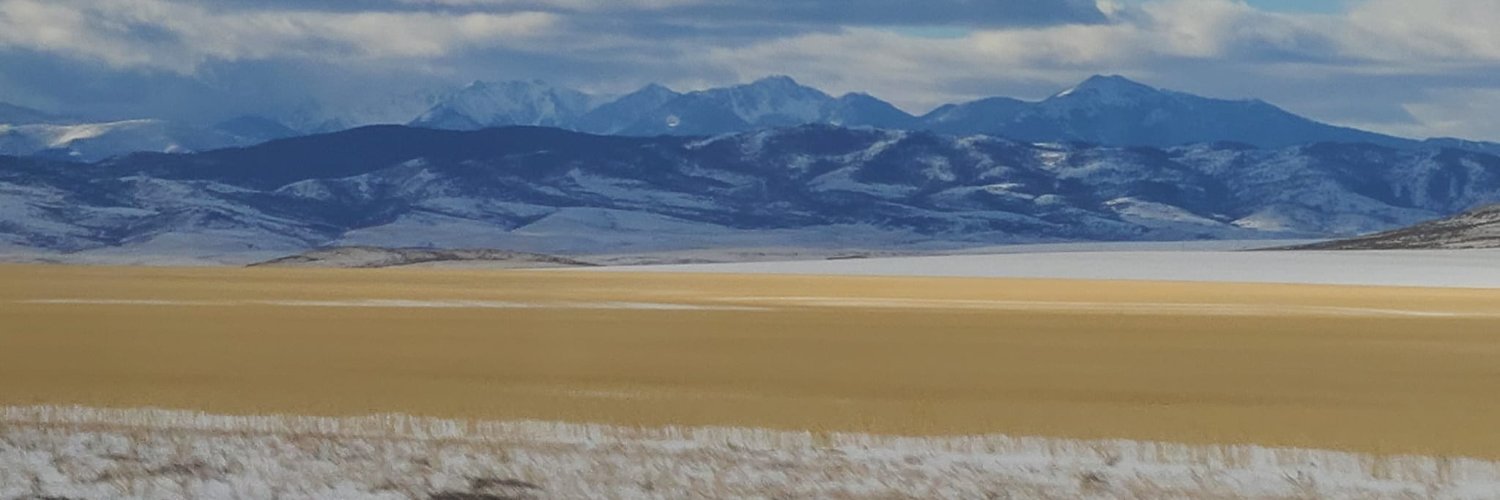 Terri Lewis, PhD #GratefulToBeVaccinated in TN-6 banner