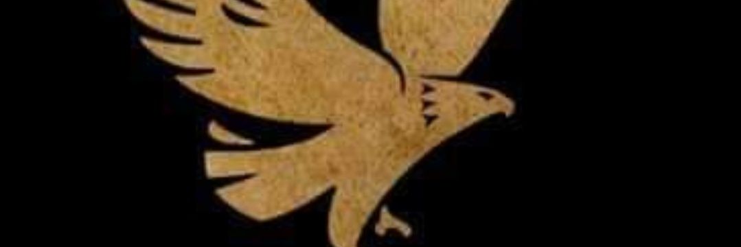 ibakrodevilo's profile banner image