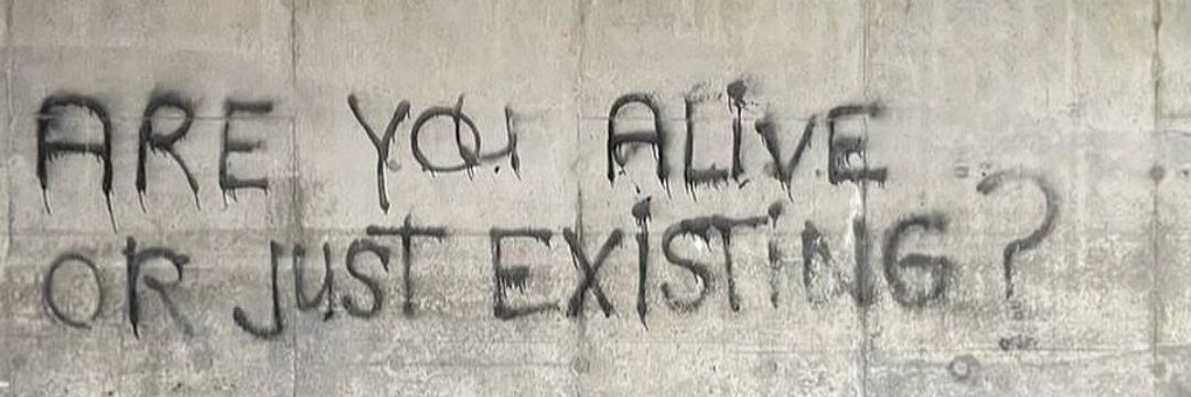 LOUIS Davidson banner