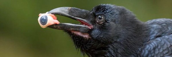 faintghostglow Profile Banner