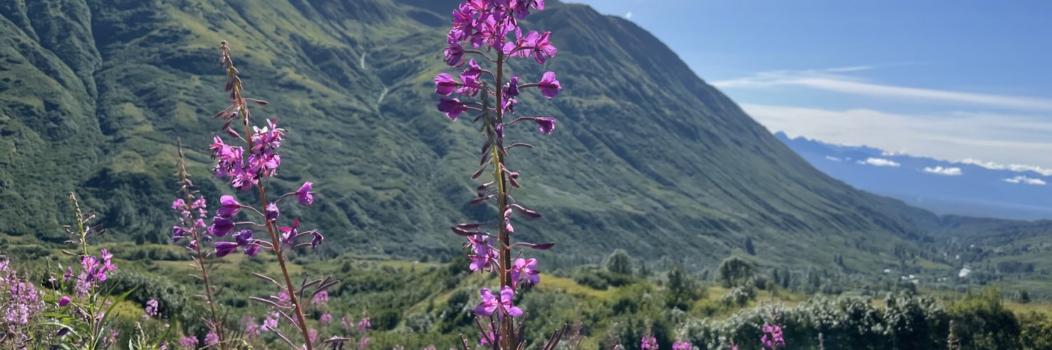 Emily🇺🇸 banner