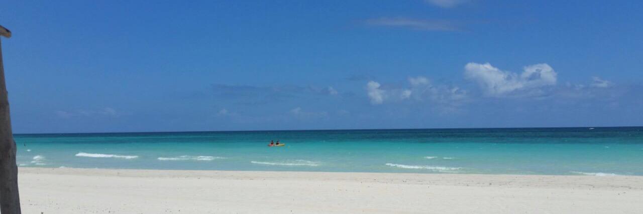 Monique Meijer ♡ banner