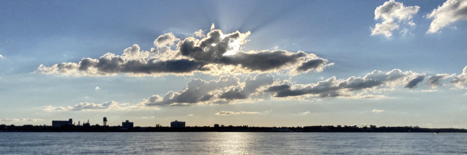 FatiGrosso's profile banner image