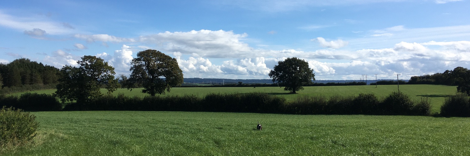 blindmansbrewer's profile banner image