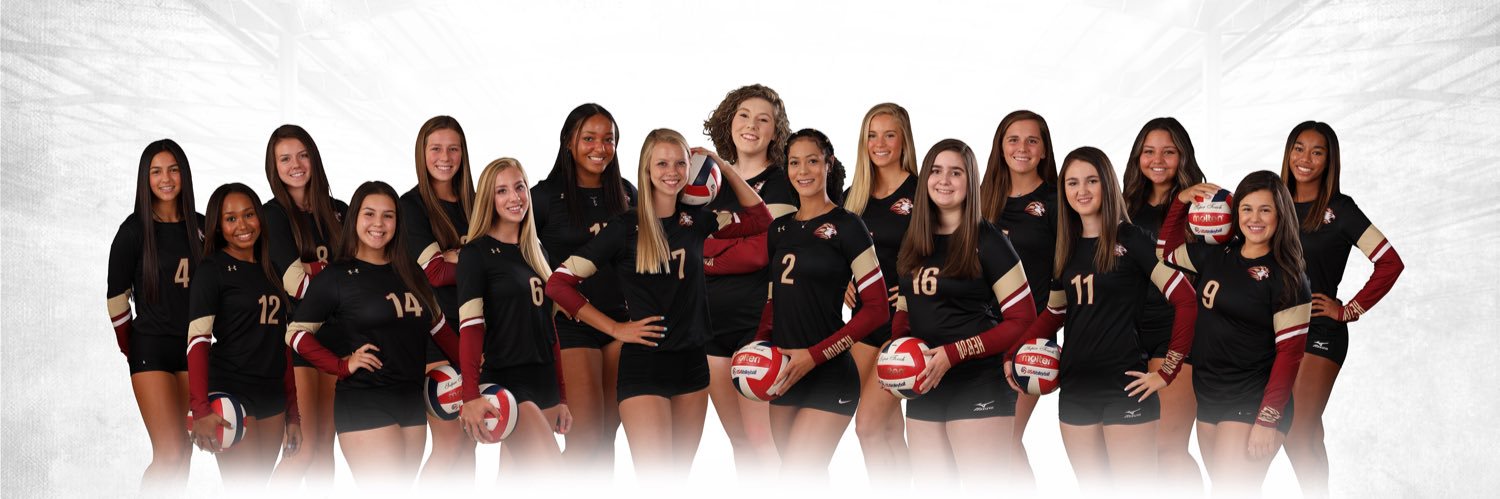 HCAVolleyball's profile banner image