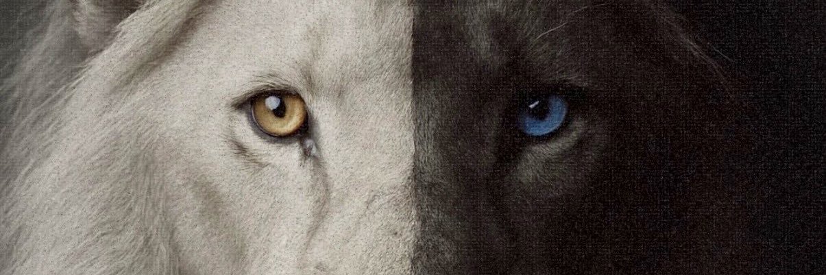 samjsherm's profile banner image