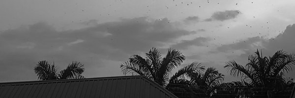 matthewashafa Profile Banner