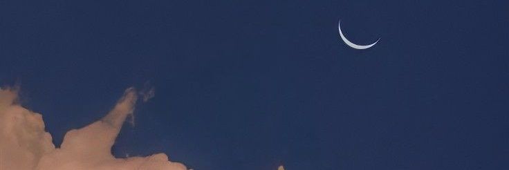 pcd0499875's profile banner image