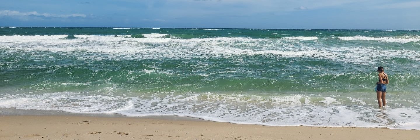 Courtney Shipley banner