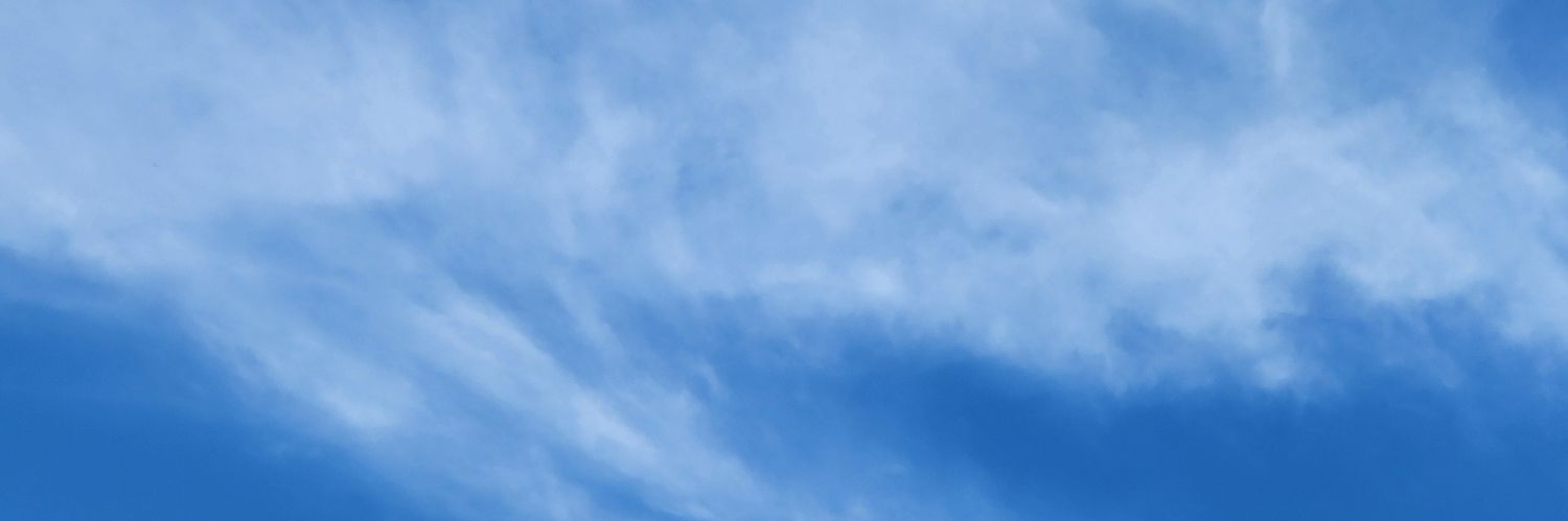 ひなこ＠情緒不安定 banner