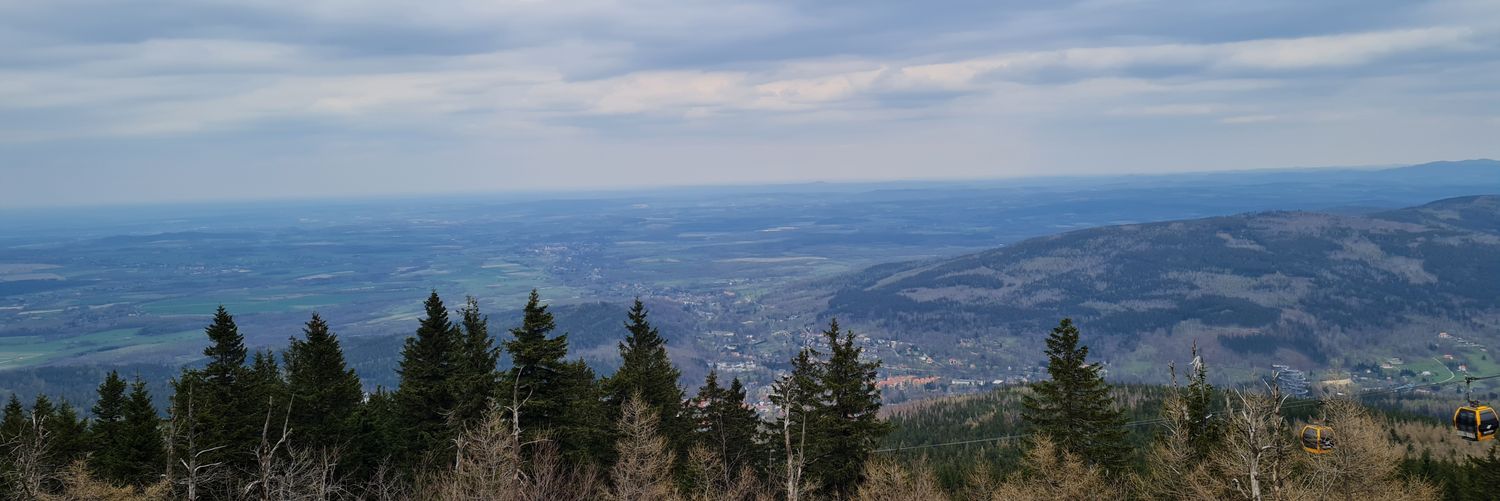 LadyHill98's profile banner image