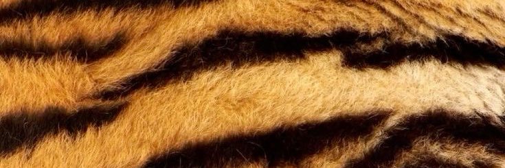 davidromanoo's profile banner image