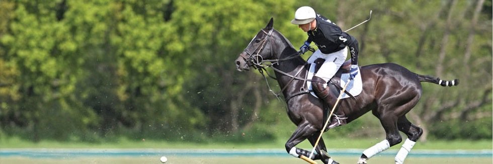 UberPolo's profile banner image