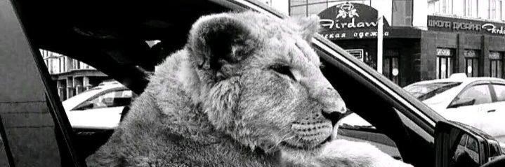 benharez92's profile banner image