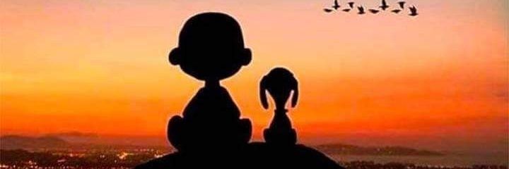 vemabal81's profile banner image