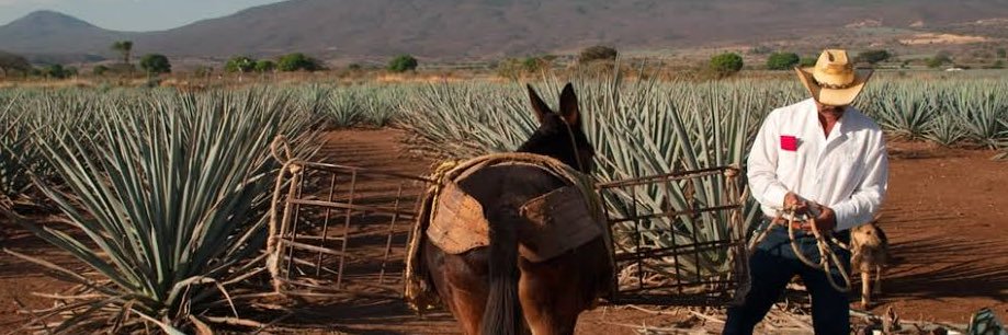 Letrina_nortena's profile banner image