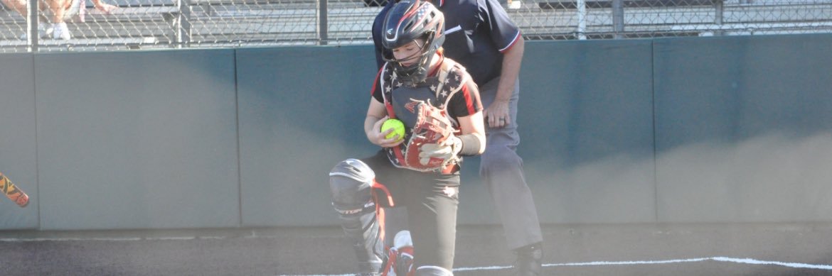 Reagan Johnson banner