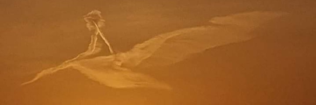 Canadian_Thunderbird banner