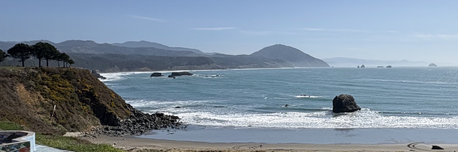 Not Johnny Depp banner